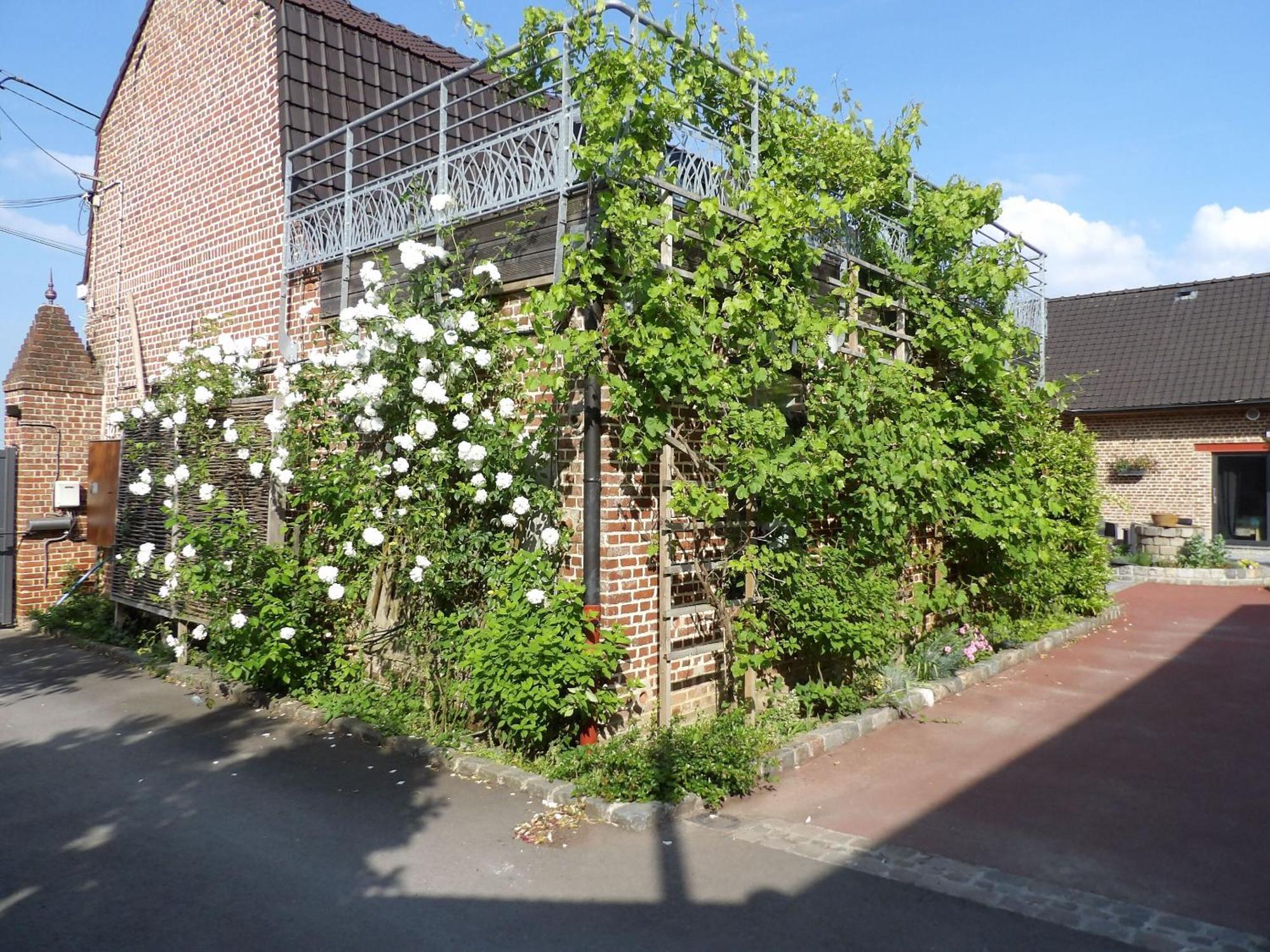 Aux Herbes Hautes Fleurbaix Exterior foto
